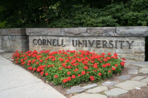 Read more about the article My Thoughts On Cornell Rape Case