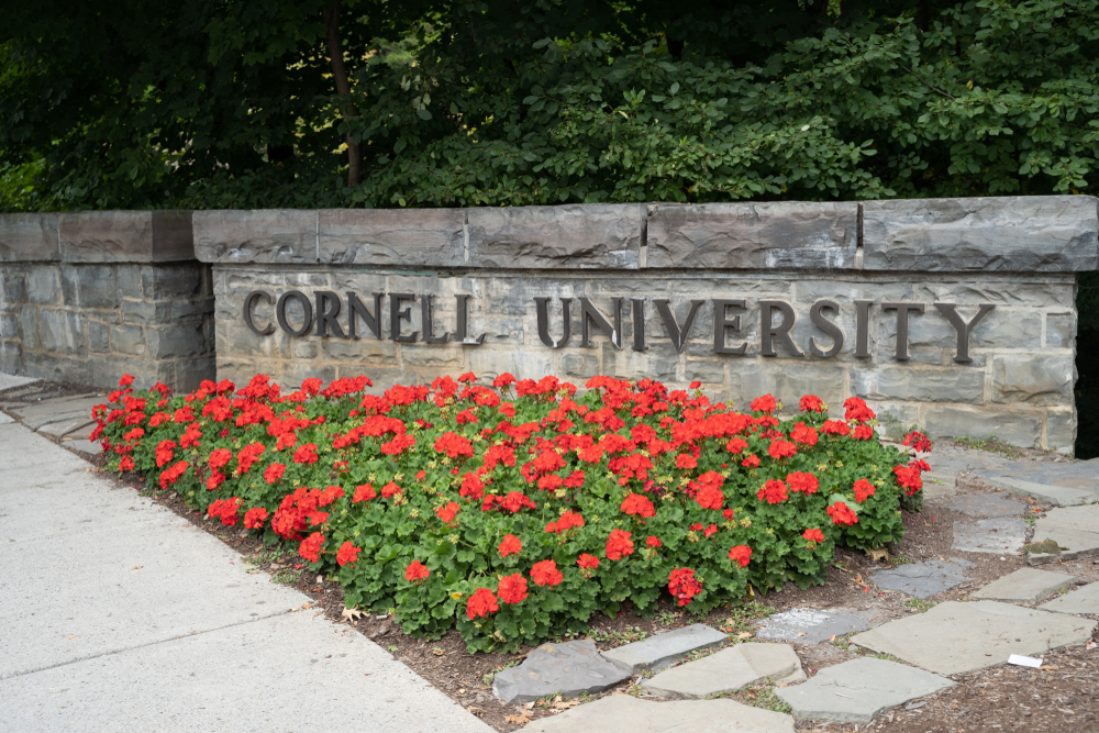 You are currently viewing My Thoughts On Cornell Rape Case